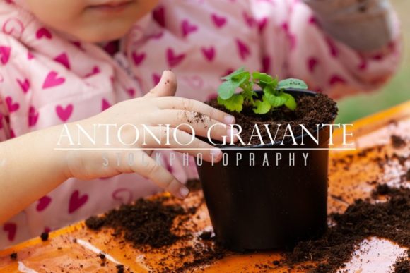 Cultivating Curiosity: The Educational Power of Early Gardening